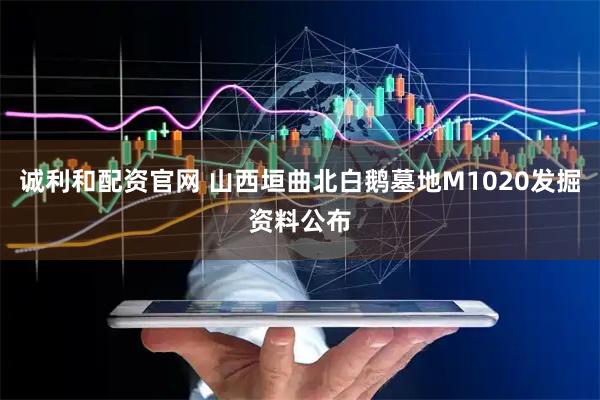 诚利和配资官网 山西垣曲北白鹅墓地M1020发掘资料公布