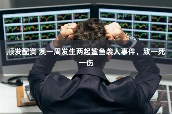 顺发配资 澳一周发生两起鲨鱼袭人事件，致一死一伤