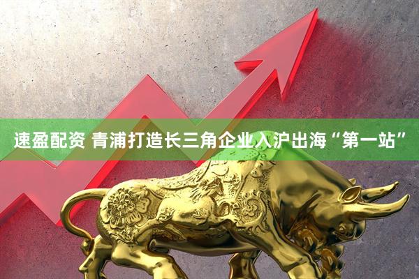 速盈配资 青浦打造长三角企业入沪出海“第一站”
